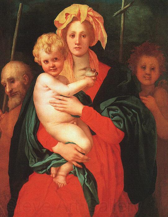 Jacopo Pontormo Madonna Child with St.Joseph and St.John the Baptist France oil painting art